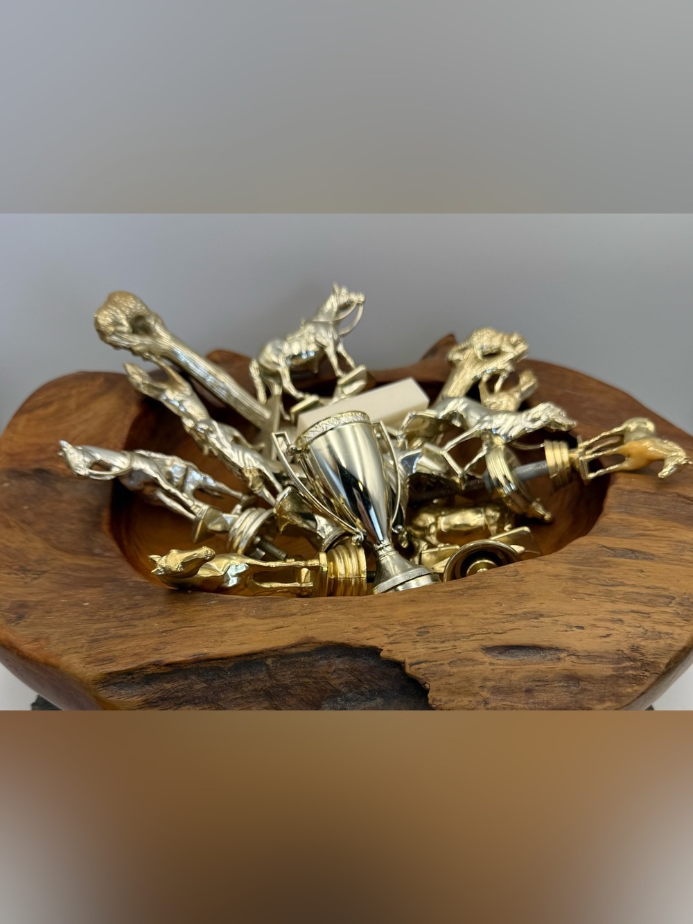 Vintage lot of 10 Trophy Toppers ( Mainly Dog/Horse Related) Plastic